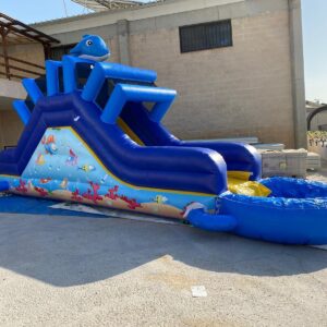 מגלשת מים דולפין